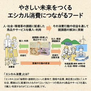 ドライドッグフード 鮭でキャットフードつくりました 150g×3袋(450g)