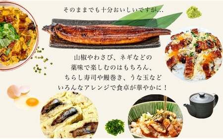 愛知県三河一色産うなぎ蒲焼き特大サイズ2尾+きざみうなぎ2食入りセット(長焼き2尾で400g+ きざみうなぎ50g×2食) 国産 愛知県産 西尾市産 西尾市一色産 うなぎの兼光 鰻 ウナギ 蒲焼き 惣菜 総菜 タレ付き たれセット 巨大 きざみ キザミ 刻み 丑の日 土用の丑の日 ・U022-16
