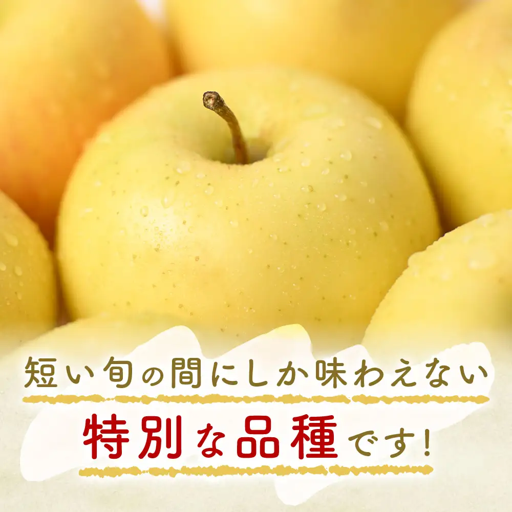 青森県産りんご トキ 約5kg りんご 9月下旬～