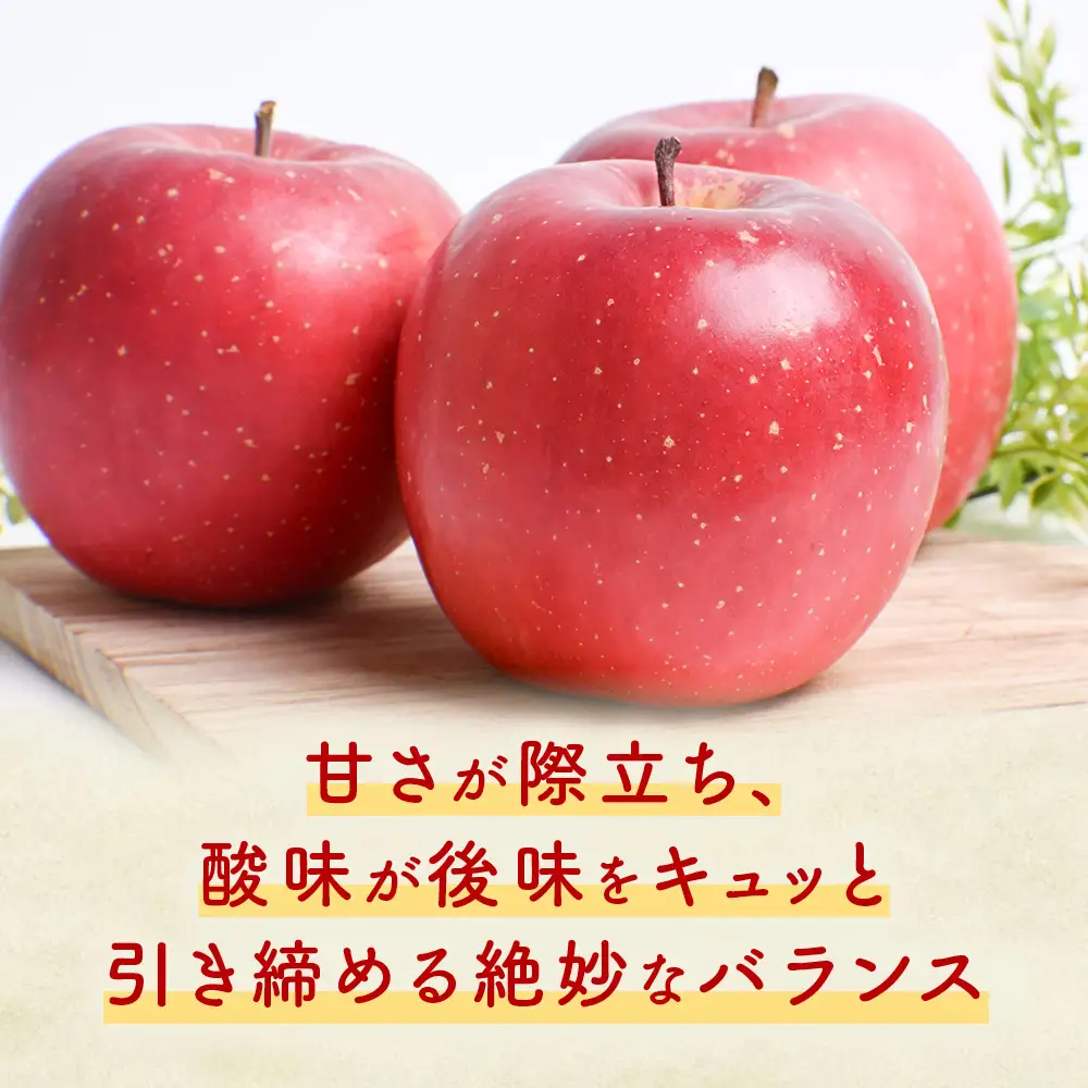 青森県産りんご 早生ふじ 約5kg りんご 9月下旬～