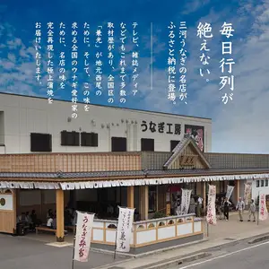 愛知県三河一色産　うなぎ蒲焼き　大サイズ2尾(合計330g以上)・U023-13