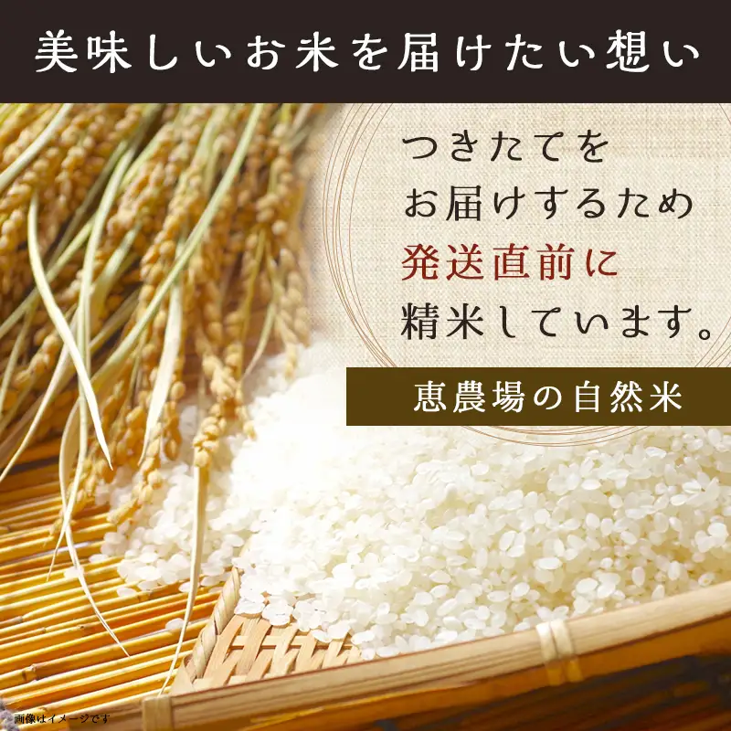 都城市高崎町産ひのひかり「自然米」15kg_43-6801_(都城市) 5kg×3袋 高崎町 ヒノヒカリ 白米 お米15kg おこめ 産地直送 精米