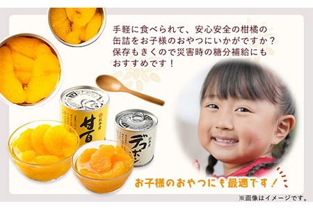 デコポン・甘夏缶詰セット 計10缶入り 果物 デコポン