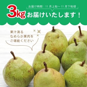 SA2921　酒田のラ・フランス　約3kg