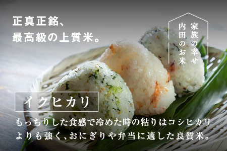 【令和7年産】福井県産 内農米 イクヒカリ 5kg