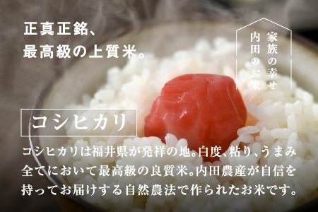 【令和7年産】福井県産 内農米 コシヒカリ 無洗米 5kg