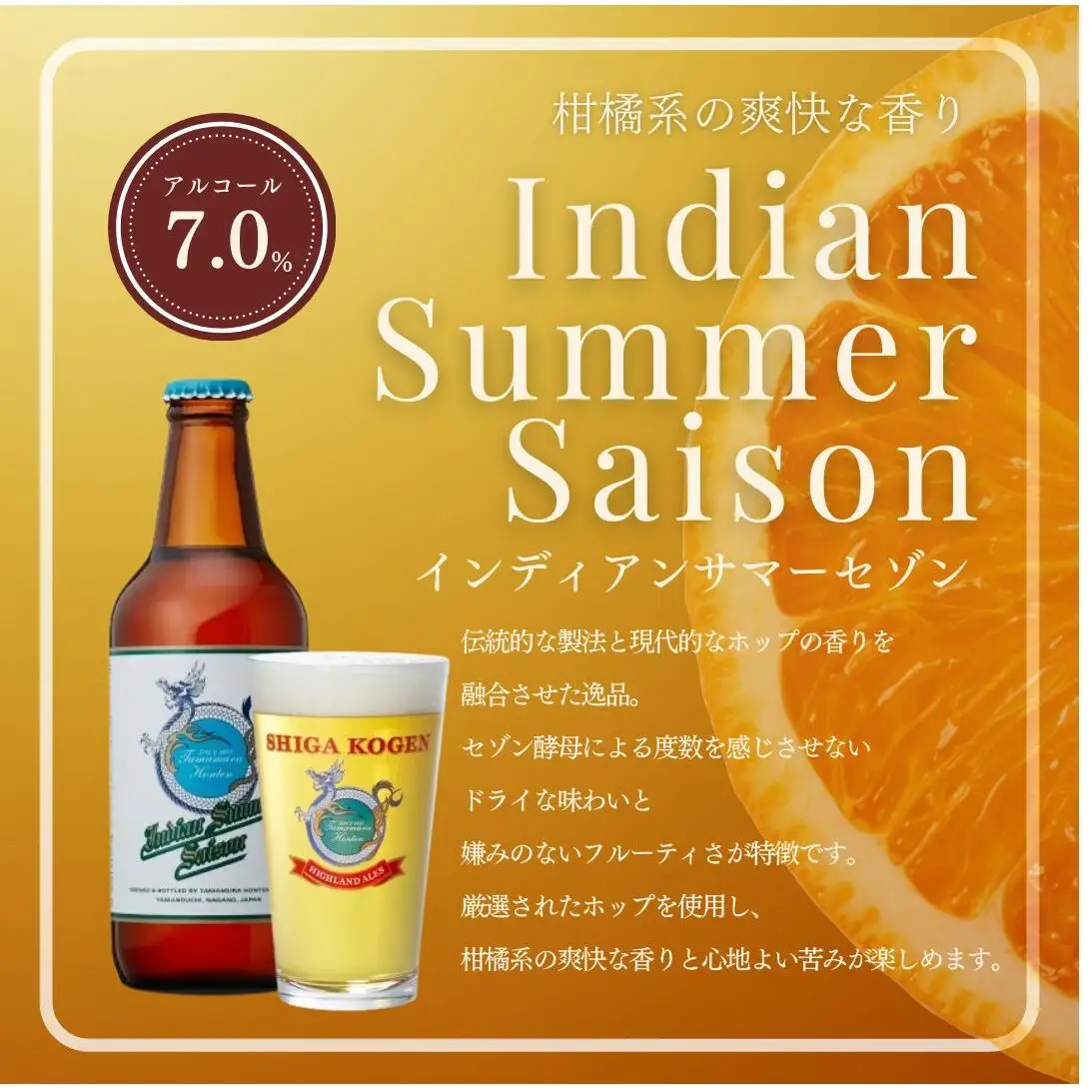 父の日 定期便 3ヶ月 志賀高原ビール6本セット 【 クラフトビール 志賀高原ビール 飲み比べセット 玉村本店 ビール 詰め合わせ セット 地ビール 飲み比べ 黒ビール ipa ペールエール 酒 お酒 長野県 長野 定期 お楽しみ 3回 】