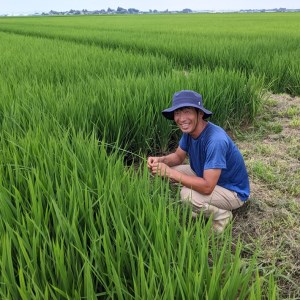 【新米受付】令和8年産 特別栽培米 つや姫 10kg 渡會さんのうまい米！ 5kg×2袋 2026年産 ブランド米 米 国産 単一原料米 山形 庄内平野 コシヒカリの原点、亀の尾発祥の地 庄内【R8.10月以降発送開始/入金期限：2026年9月15日】