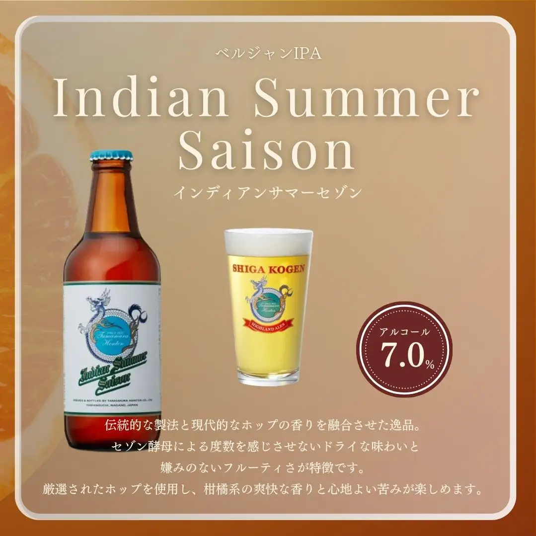 父の日 定期便 3ヶ月 志賀高原ビール24本セット 【 クラフトビール 志賀高原ビール 飲み比べセット 玉村本店 ビール 詰め合わせ セット 地ビール 飲み比べ 黒ビール IPA ipa ペールエール 酒 お酒 長野 定期 お楽しみ 3回 】
