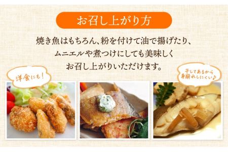 干物 赤がれい一塩干し 大サイズ（1尾 × 9パック入り）1尾約170g【カレイ かれい ひもの 小分け 無添加 冷凍】 [e04-a090]