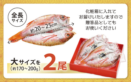 のどぐろ 開き 大サイズ × 2尾（170～200g / 尾）【干物 ひもの ノドグロ アカムツ 冷凍 無添加 化粧箱入】 [e04-b030]