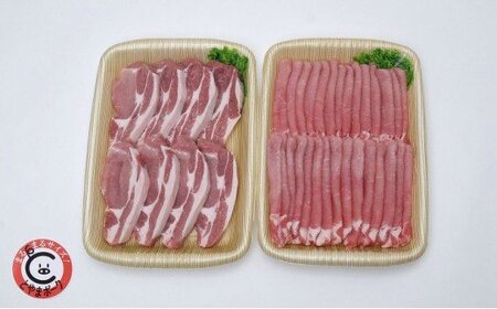 とやまポーク ロースうす切り 800g ローステキカツ用 800g セット 豚肉 豚ロース 肉 お肉 ロース 豚