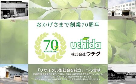【4月中旬以降発送】 キッチンペーパー 60W×12 キッチンペーパー日用品