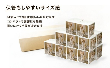 キューブ型 ティッシュ 14箱 ティッシュペーパー 日用品 日用品