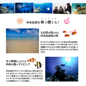 沖永良部島のファンダイビング 2ボートダイブ W015-002u チケット 体験