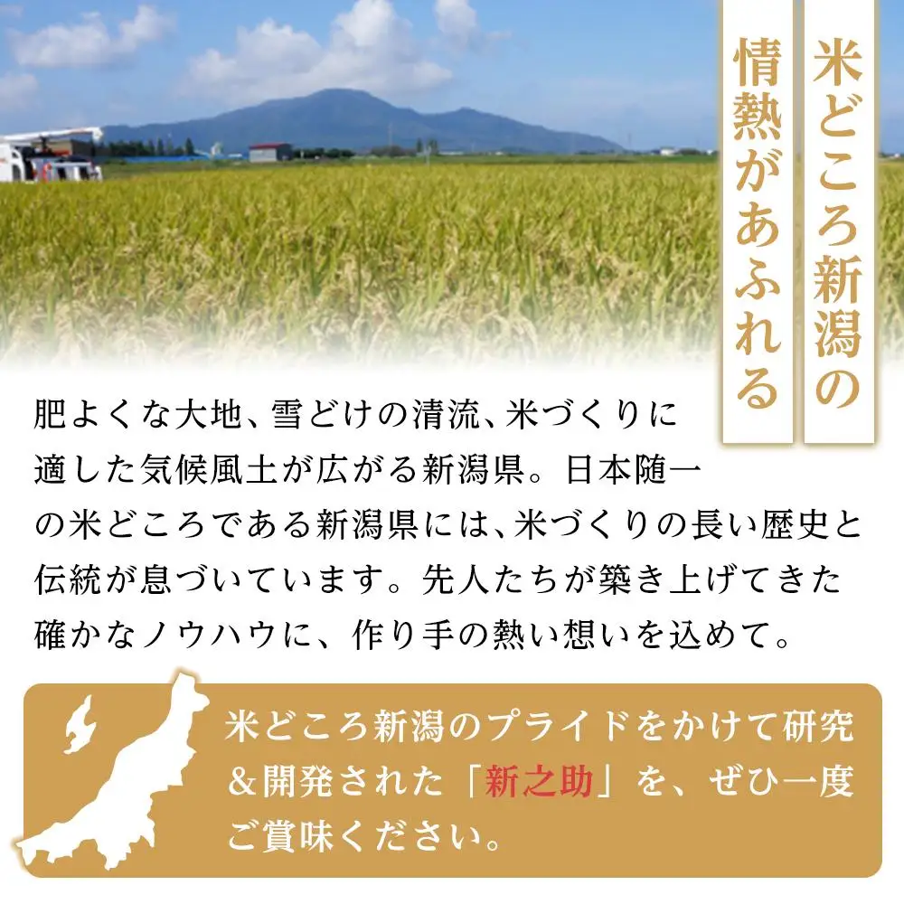 【パックごはん】新之助ごはん150g×24個