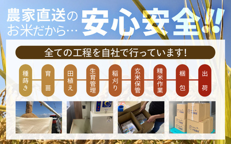 【先行予約】【令和8年産・新米】【農家直送定期便 6ヶ月コース】【玄米】 本原農園のまごころコメた 福井県産 コシヒカリ 5kg × 6回 計30kg 【2026年10月上旬以降順次発送】 [G-8910_02]