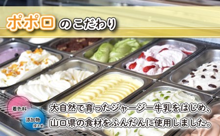 アイスクリーム アイスジェラート 6種18個セット ジェラート EZ