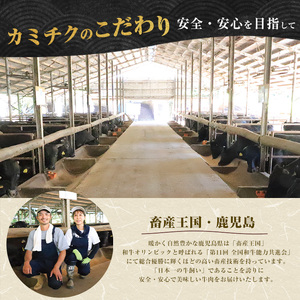 A5等級鹿児島県産黒毛和牛 食べ比べ焼肉セット カミチク IB112-008 牛肉 牛肉 
