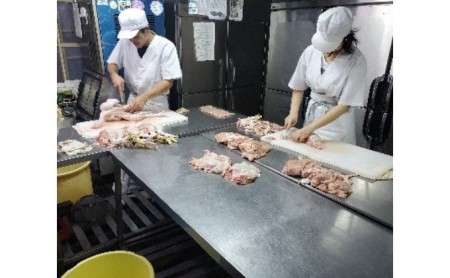 きじ肉【ジビエ】 900g 鳥肉 とり肉 鳥肉専門店 むね肉 もも肉 ささみ 054-03