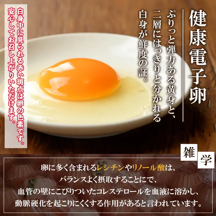 たまご　80個（10個×8P）　健康電子たまご　(内10個 宅配破損時 保証卵付) 【00-095-01】