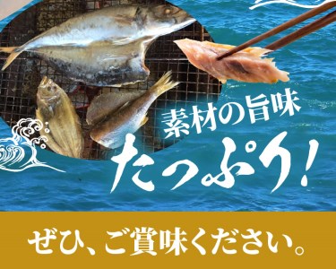 干物セットA N014-YZA582
