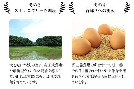 朝獲れ卵 味宝卵 (80個) 卵 Lサイズ 鶏卵《90日以内に出荷予定(土日祝除く)》野上養鶏場