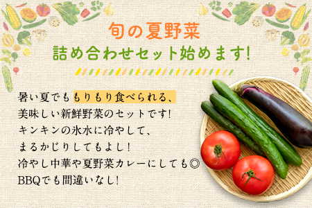 夏 野菜セット 約5kg 花田農園