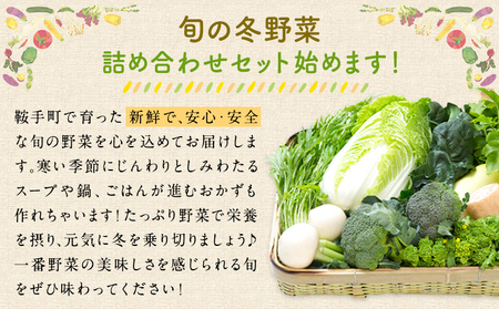 冬 野菜セット 約5kg 花田農園
