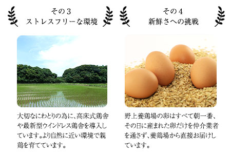 野上さん家の炭火焼 計1.2kg(120g×10パック)《60日以内に出荷予定(土日祝除く)》味宝卵 福岡県 鞍手郡 鞍手町 野上養鶏場