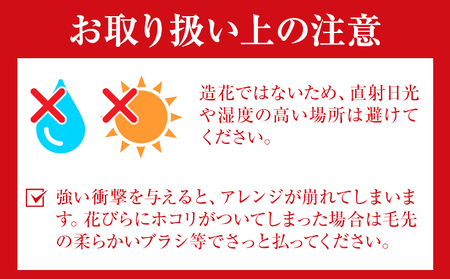 ふるさと納税 プリザーブドアレンジメント フレームSサイズ【カラー：ピンク】 花や  《90日以内に出荷予定(土日祝除く)》福岡県 鞍手郡 鞍手町 花 フラワー プリザーブドフラワー 贈り物 ギフト 記念日 誕生日 お祝い