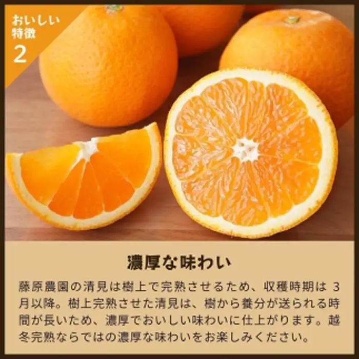 清見オレンジ（みかん）4kg 家庭用 ｜和歌山県海南市下津町で育てた和製オレンジを産地直送でお届け【2027年3月～発送予定】