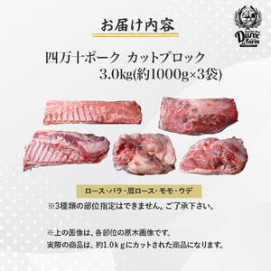 【農林水産大臣賞・受賞記念】◆四万十町産◆ブランド豚の3種ブロック詰め合わせ （3kgセット）豚肉 冷凍 四万十 高知 ／Adf-A68