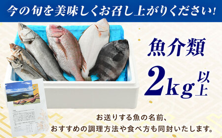 【加福鮮魚】「若狭小浜湾産地直送」旬の天然鮮魚お任せセット！ 計2kg以上 地魚 下処理済み 刺身 煮魚 小浜市 / 加福鮮魚【配送不可地域：北海道、北東北（秋田、青森、岩手）、九州、沖縄、離島】  [BFBC007] 