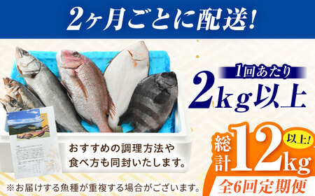 【定期便】全6回(隔月発送)【加福鮮魚】「若狭小浜港産地直送」旬の天然鮮魚お任せセット！地魚 下処理済み 刺身 煮魚 焼き魚 小浜市 / 加福鮮魚 【配送不可地域：北海道、北東北（秋田、青森、岩手）、九州、沖縄、離島】[BFBC016] 