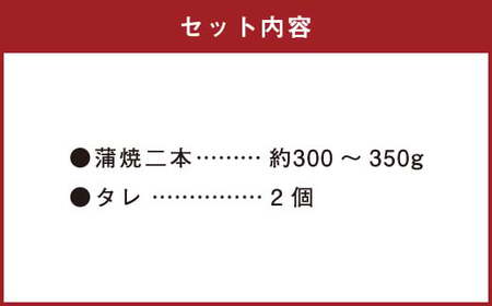 鹿児島産 鰻 蒲焼き 2本 約300～350g セット 老舗130年の味 うなぎ
