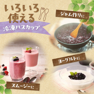 【2026年発送先行予約！】冷凍ハスカップ900g 北海道清水町（ハスカップ 450g×2）_S009-0016
