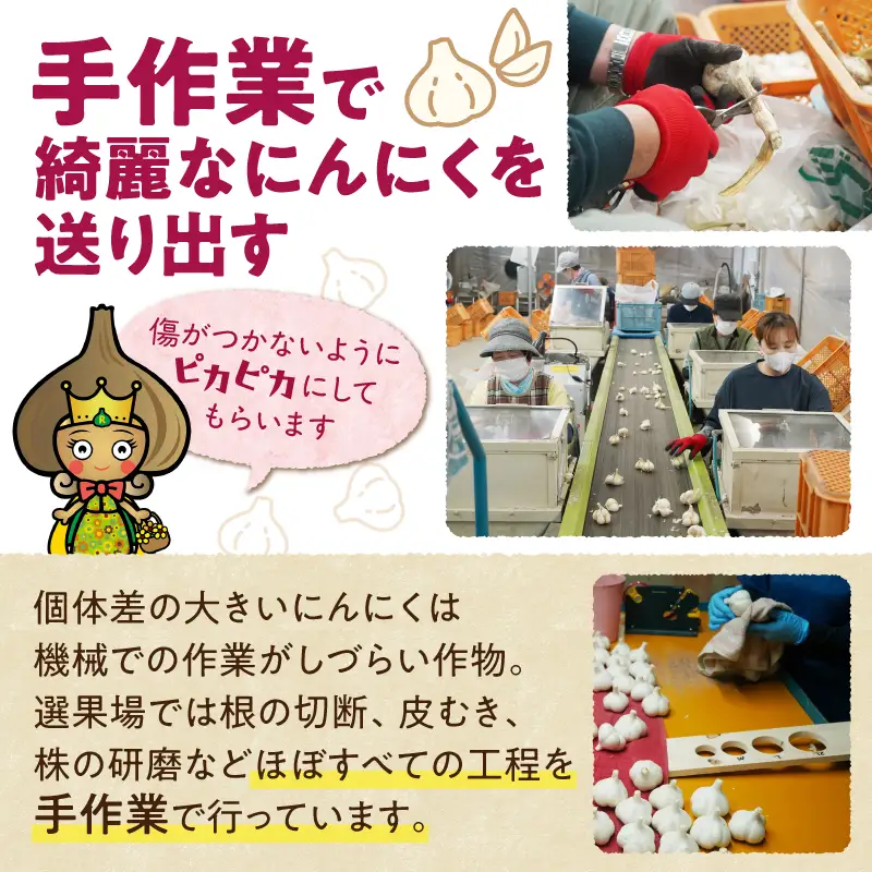 十勝熟成黒にんにく (6玉入)×1箱 _S021-0005