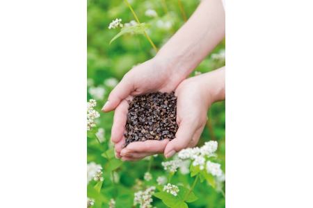 国産高級そば粉 栃木県産そば粉（1kg×2＝2kg） ※着日指定不可