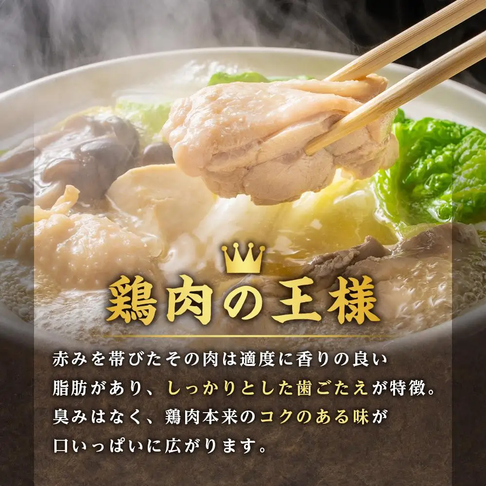 純系名古屋コーチン　豪華生肉セット