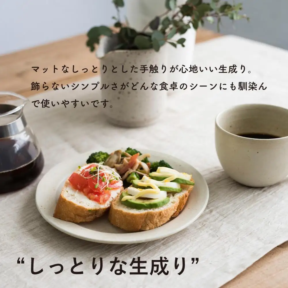 リムプレートM　とび茶生成りセット　s18-di14【信楽焼・明山】
