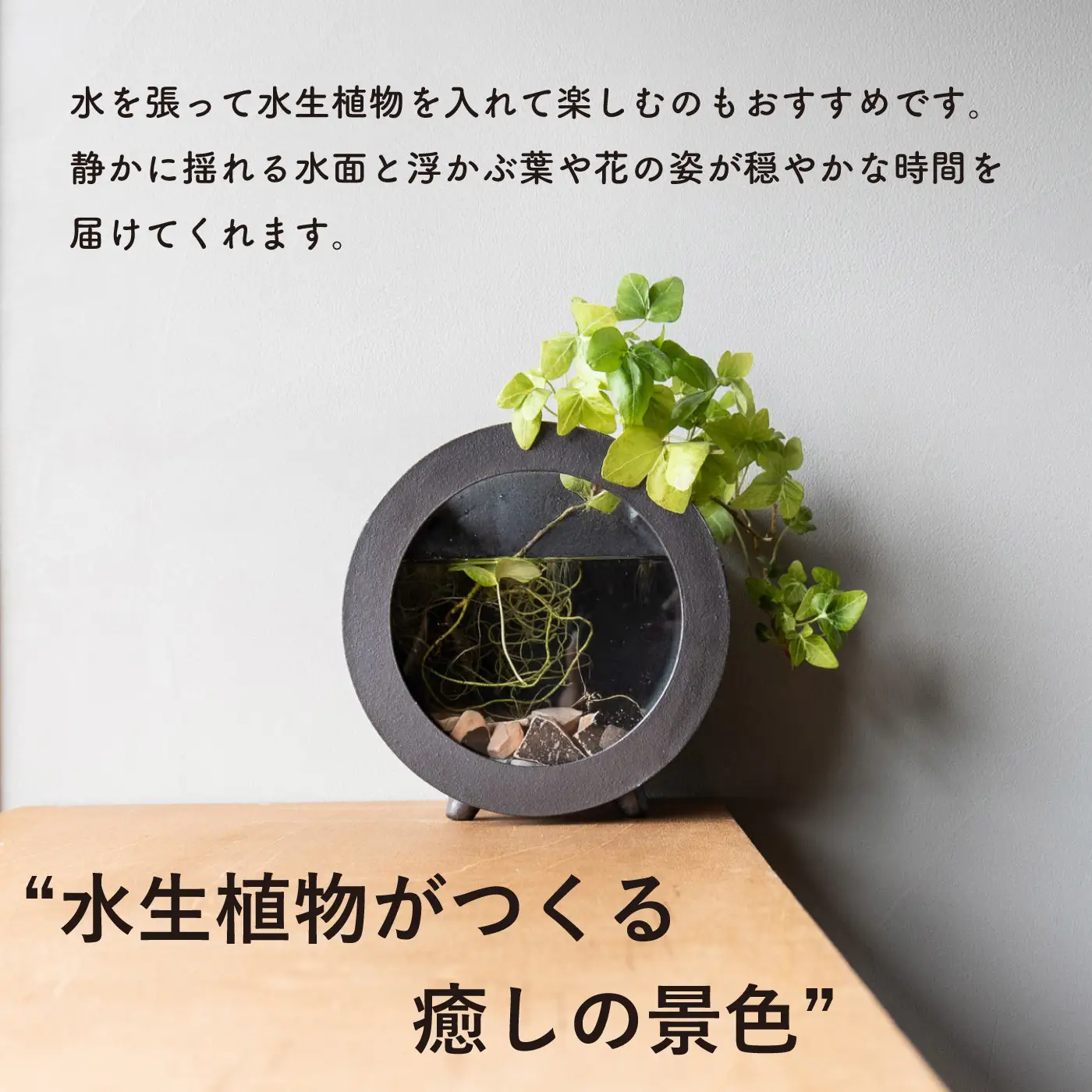 【信楽焼・明山】丸水槽・小（黒）　aqua-03s