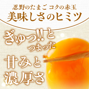 【3ヶ月定期便】”忍野の卵”コクの赤玉30個×3回 ※割れ保証含む 卵