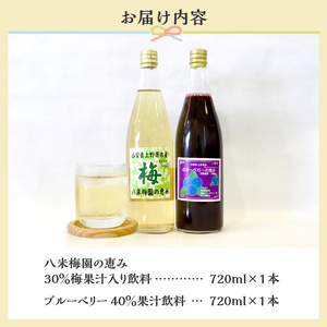 梅ジュース ブルーベリージュース 720ml×2本 無添加 自然栽培 八米梅園 国産 保存料不使用 梅果汁入り 濃厚 飲料 ドリンク 美味しい 瓶 夏ギフト 贈り物 お取り寄せ 山梨県産 上野原市 送料無料