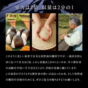浜野浦の棚田米 10kg ／コシヒカリ 棚田米【B106】