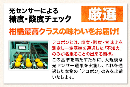 先行予約 デコポン 訳あり デコポン 約 5kg 前後(約12-24玉前後)  《4月下旬-5月末頃出荷》不知火と同品種 フルーツ 果物 みかん 柑橘