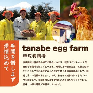 【6ヶ月定期便】”忍野の卵”旨味のピンク玉80個×6回 ※割れ保証含む 卵