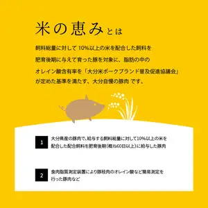 米の恵み　ロースかつ　約120g×5枚 A02011