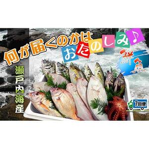 【定期便7回】創業100年の魚屋さんが選び抜いた旨い鮮魚直送便～