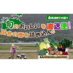 〈定期便6回〉創業100年！老舗の八百屋がチョイスした厳選やさいと旬の果物の詰め合わせ